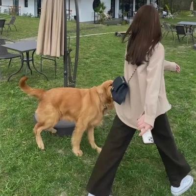 爱情对象