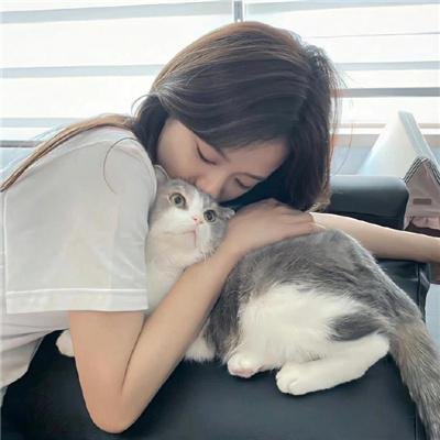 海龟们